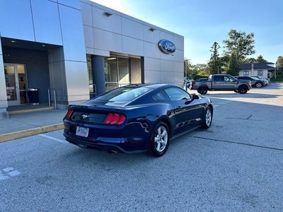 2019 Ford Mustang EcoBoost