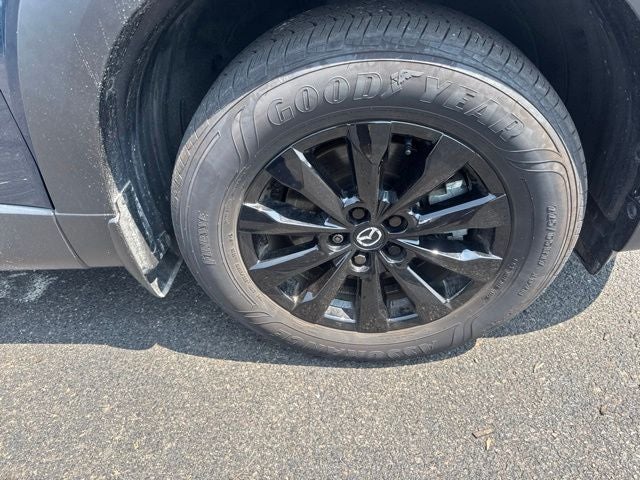 2025 Mazda Mazda CX-50 2.5 S Premium Package